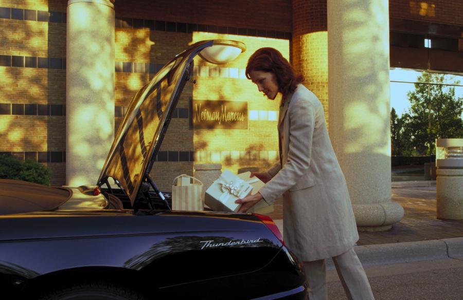  Ford Thunderbird Neiman Marcus Edition 2002 года  (фото 48 из 61)